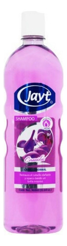 Shampoo Jayt Ceramidas 960 Ml