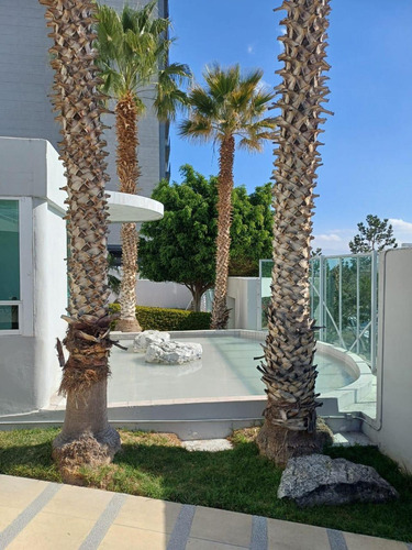 Departamento En Renta En Lomas De Gran Jardín, León, Guanajuato