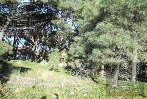 Imagen 1 de 7 de Excelente Lote En Las Camelias, Costa Del Este