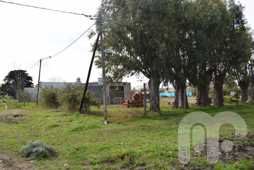 Imagen 3 de 10 de Venta Terreno - Los Hornos