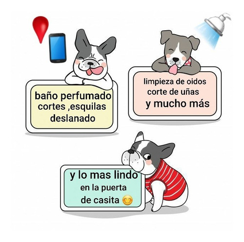 Imagen 3 de 4 de Peluquería Canina Movil
