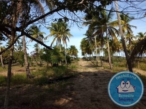Imagem 4 de 15 de Lotes Na Praia A Partir De R$160.000,00 - 1887