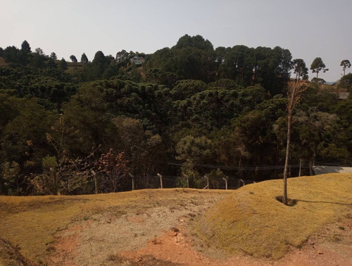 Imagem 7 de 15 de Terreno No Jd. Cataguases Em Campos Do Jordão - 43