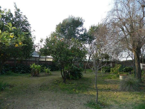 Imagen 5 de 16 de Gran Terreno En Arriendo