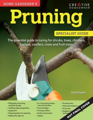 Home Gardeners Pruning The Essential Guide To Caring For Shr