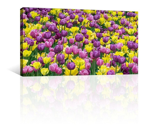 Cuadro Decorativo Naturaleza Canvas Flores Cama Tulipanes