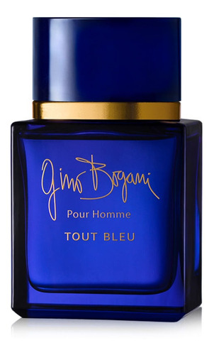 Perfume Importado Gino Bogani Tout Bleu Edt 90 Ml