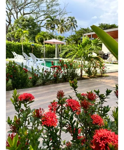 Vendo Hermosa Finca En Sopetran