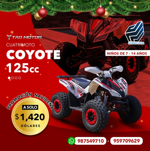 Imagen 11 de 20 de Cuatrimoto Coyote 125cc Automatica 0 Klm 2023