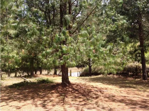 Lote En Venta En Envigado