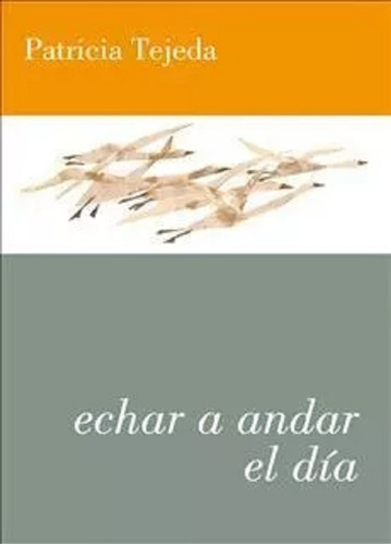 Echar A Andar El Dia / Patricia Tejeda