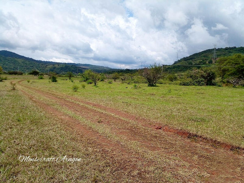 Increíble Terreno Con Manantial