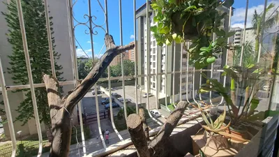Apartamento en alquiler