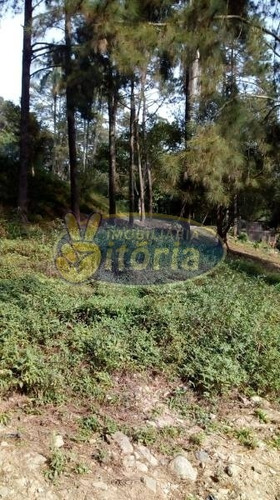 Imagem 4 de 10 de Chácara Para Venda No Bairro Batistini, 2 Dorm, 0 Suíte, 2 Vagas, 120 M - 7320