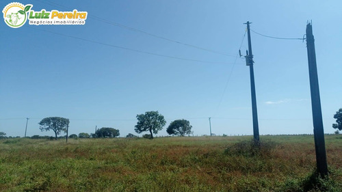 Imagem 3 de 15 de Fazenda Á Venda No Formoso Do Araguaia - To - 1.327,2 Hec., (dupla Ptidão) - 2263