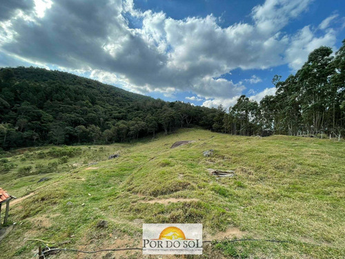 Imagem 11 de 23 de Sítio À Venda Em Pedra Bela/sp - 0271