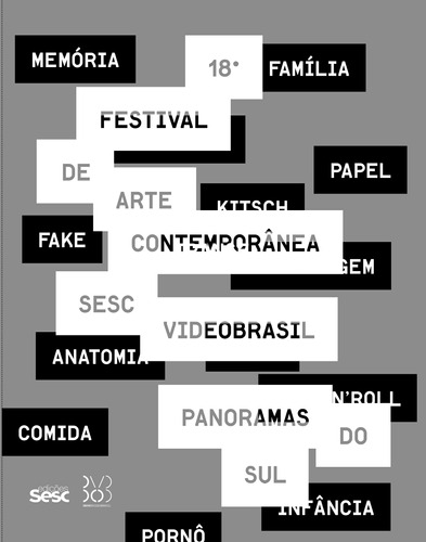 18º festival internacional de arte contemporânea Sesc_videobrasil: Panoramas do sul, de Edições Sesc São Paulo. Editora Edições Sesc São Paulo, capa mole em inglés/português, 2013