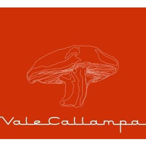 Cafe Tacuba Vale Callampa Cd