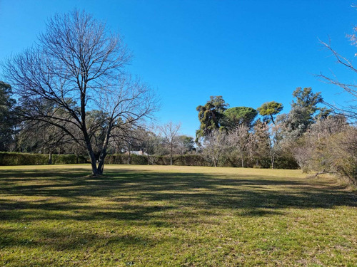 Imagen 5 de 14 de Terreno En Venta 1800m2 Con Excelente Arboleda
