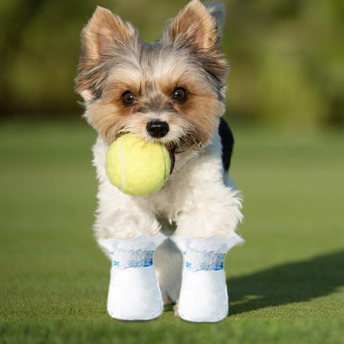 Vendaje Para Pies De Perro Fundas Para Patas Para Perros 12