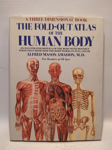 The Fold-out Atlas Of The Human Body Alfred Mason Amadon 
