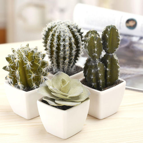 Mygift Mini Plantas Artificiales De Cactus ' Surtido De Plan