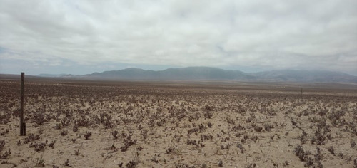 Terreno Cercano A Punta De Choros 5.000m2