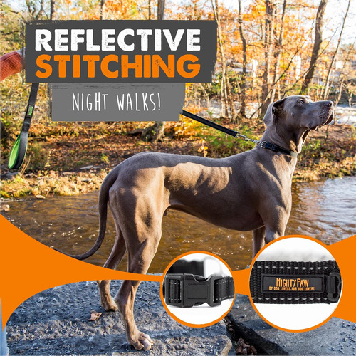 Mighty Paw Martingale Collar De Perro 2.0 | Trainer Appro...