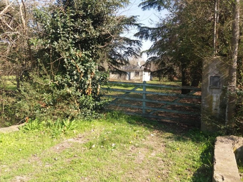 Imagen 5 de 5 de Ruta 8 Km 94.5 - Paraje El Candil - San Andres De Giles