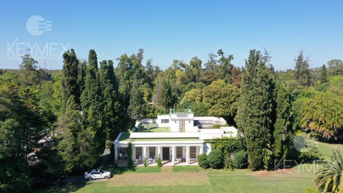 Campo - Villa Elisa