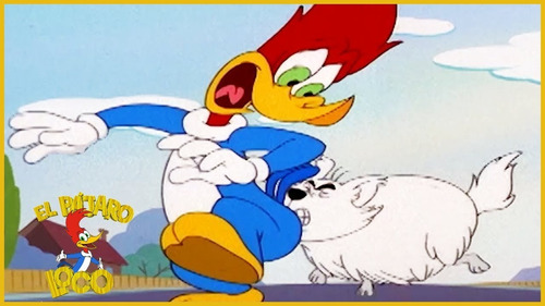 Imagen 10 de 10 de El Nuevo Show Del Pájaro Loco (serie Completa)