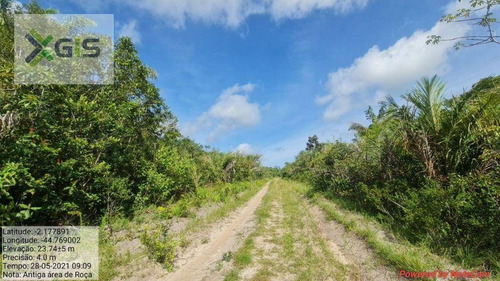 Imagem 10 de 14 de Fazenda À Venda, 2.019,2237 Ha Por R$ 1.600.000 - Br-308 - Mirinzal/ma - Fa0014
