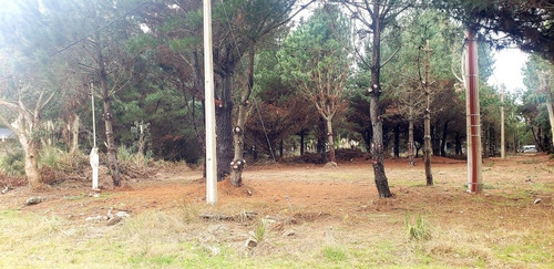 Imagen 5 de 7 de Venta Lote Terreno En La Lucila Del Mar