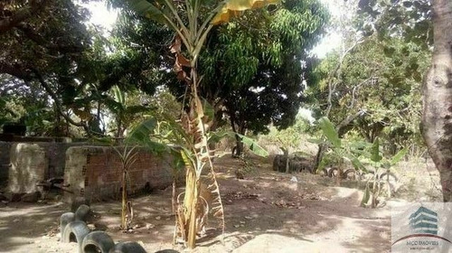 Imagem 3 de 7 de Granja A Venda Em Macaíba
