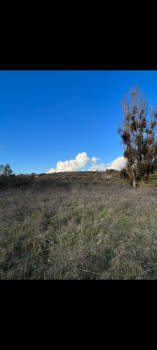 Se Vende Parcela De 2,5 Hectáreas