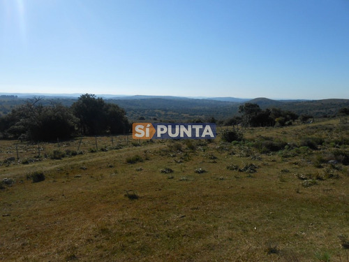 Imagen 4 de 12 de Chacra A La Venta Ruta 39, Camino Cerro Catedral