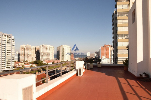 Primera Linea- Ref: 4880