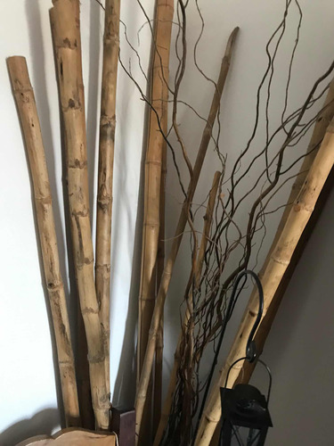 Cañas  Bambú Para Decoración X10
