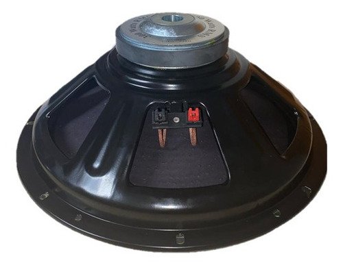 Alto Falante Woofer 15 Polegadas Sturdy 300 Watts Rms Cor Preto