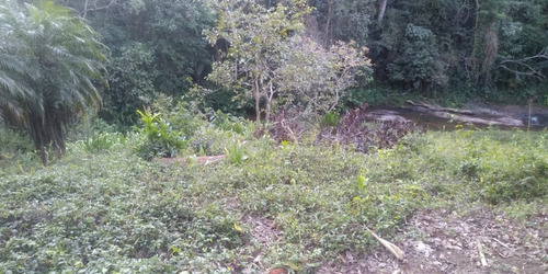 Imagem 10 de 10 de Chácara Venda Paraibuna - Sp - Paraibuna - 4004