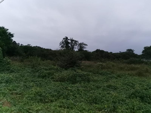 Terreno Venta 1358m² Carr Tuxpan Tamiahua En Tuxpan Veracruz