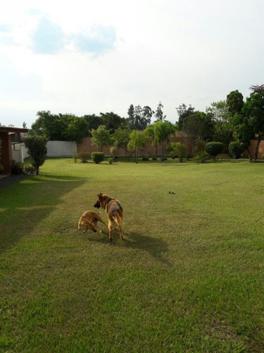Chacara-para-venda-em-loteamento-chacaras-vale-das-garcas-campinas-sp - Ch0024