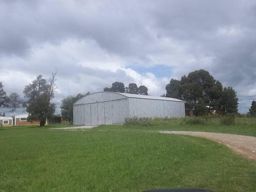 Imagen 5 de 30 de Casa-quinta En Venta En La Plata | Avda. 137 E/600y605 (16 Has)