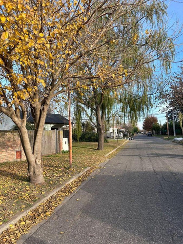Lote . | Edison Al 200