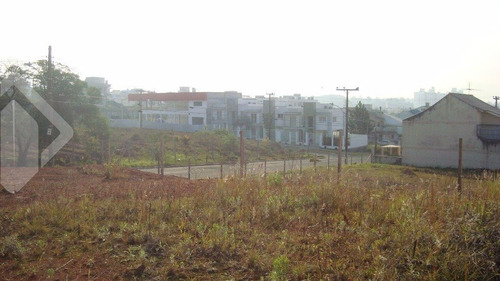 Imagem 3 de 5 de Terreno - Estancia Velha - Ref: 212756 - V-212756