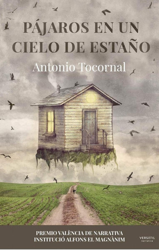 Libro: Pájaros En Un Cielo De Estaño. Tocornal, Antonio. Ver