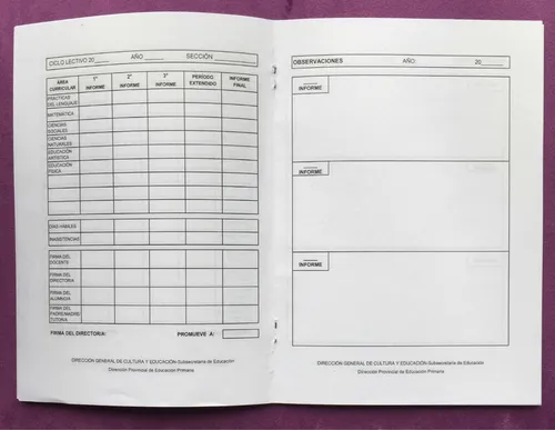 Boletín Primaria Primer Ciclo Pcia Bs As