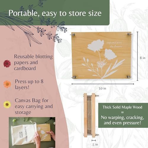 Kit Prensa Flores Madera Resistente 20x25 Cm Kit Conservació