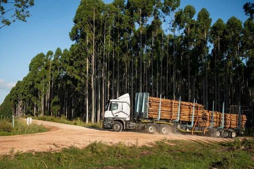 Remolque Forestal Afrit 48 Toneladas