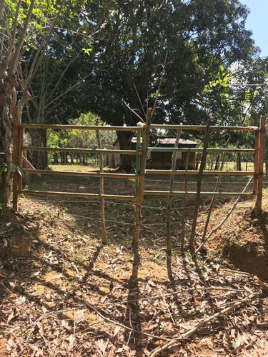 Te Vendo Excelente Finca En Bayaguana El Pulgarin